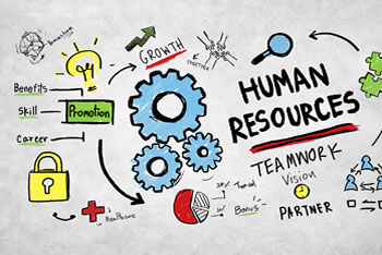 HR مشترکہ خدمات